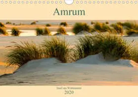 Wolff |  Amrum Insel am Wattenmeer (Wandkalender 2020 DIN A4 quer) | Sonstiges |  Sack Fachmedien