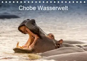 Pohl |  Chobe Wasserwelt (Tischkalender 2020 DIN A5 quer) | Sonstiges |  Sack Fachmedien