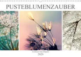 Delgado |  PusteblumenZauber (Wandkalender 2020 DIN A3 quer) | Sonstiges |  Sack Fachmedien