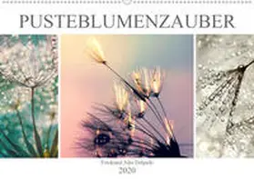 Delgado |  PusteblumenZauber (Wandkalender 2020 DIN A2 quer) | Sonstiges |  Sack Fachmedien