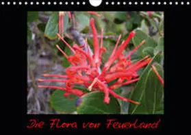 Kreissig |  Die Flora von Feuerland (Wandkalender 2020 DIN A4 quer) | Sonstiges |  Sack Fachmedien