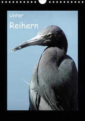 Kreissig |  Unter Reihern (Wandkalender 2020 DIN A4 hoch) | Sonstiges |  Sack Fachmedien