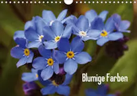 Möller |  Blumige Farben (Wandkalender 2020 DIN A4 quer) | Sonstiges |  Sack Fachmedien