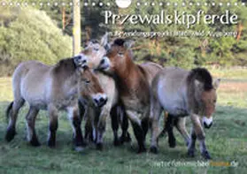Thoma |  Przewalskipferde (Wandkalender 2020 DIN A4 quer) | Sonstiges |  Sack Fachmedien