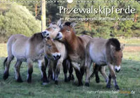 Thoma |  Przewalskipferde (Wandkalender 2020 DIN A3 quer) | Sonstiges |  Sack Fachmedien