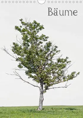 von Felbert |  Bäume (Wandkalender 2020 DIN A4 hoch) | Sonstiges |  Sack Fachmedien