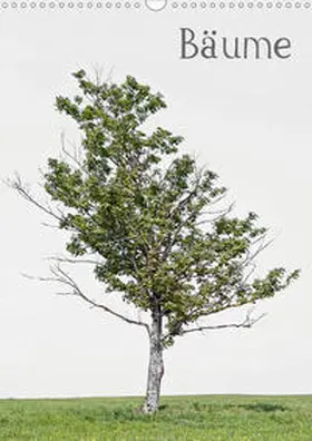 von Felbert |  Bäume (Wandkalender 2020 DIN A3 hoch) | Sonstiges |  Sack Fachmedien