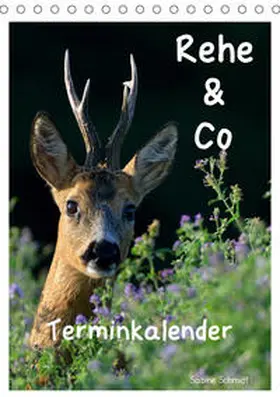 Schmidt |  Rehe & Co / Planer (Tischkalender 2020 DIN A5 hoch) | Sonstiges |  Sack Fachmedien