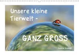 Schmidt |  Unsere kleine Tierwelt - GANZ GROSS (Wandkalender 2020 DIN A3 quer) | Sonstiges |  Sack Fachmedien