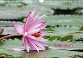 Stephan |  Seerosen (Wandkalender 2020 DIN A4 quer) | Sonstiges |  Sack Fachmedien