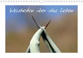 Kaiser |  Weisheiten über das Leben / CH-Version (Wandkalender 2020 DIN A4 quer) | Sonstiges |  Sack Fachmedien