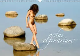 Dombrow |  Das Elfinarium 1.0 (Wandkalender 2020 DIN A3 quer) | Sonstiges |  Sack Fachmedien