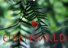 Reichenauer |  Eibenwald (Wandkalender 2020 DIN A2 quer) | Sonstiges |  Sack Fachmedien