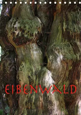 Reichenauer | Eibenwald (Tischkalender 2020 DIN A5 hoch) | Sonstiges | 978-3-670-46716-8 | www2.sack.de