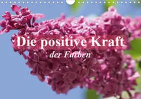 Stanzer |  Die positive Kraft der Farben (Wandkalender 2020 DIN A4 quer) | Sonstiges |  Sack Fachmedien