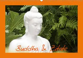 Stanzer |  Buddha & Zitate (Wandkalender 2020 DIN A2 quer) | Sonstiges |  Sack Fachmedien