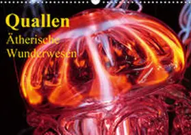 Stanzer |  Quallen . Ätherische Wunderwesen (Wandkalender 2020 DIN A3 quer) | Sonstiges |  Sack Fachmedien