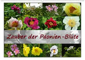 Reiter |  Zauber der Päonien-Blüte (Wandkalender 2020 DIN A2 quer) | Sonstiges |  Sack Fachmedien