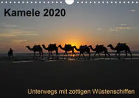 Weber |  Kamele 2020 - Unterwegs mit zottigen WüstenschiffenCH-Version  (Wandkalender 2020 DIN A4 quer) | Sonstiges |  Sack Fachmedien