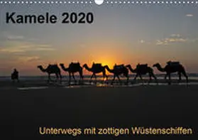 Weber |  Kamele 2020 - Unterwegs mit zottigen WüstenschiffenCH-Version  (Wandkalender 2020 DIN A3 quer) | Sonstiges |  Sack Fachmedien