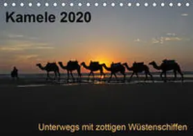 Weber |  Kamele 2020 - Unterwegs mit zottigen WüstenschiffenCH-Version  (Tischkalender 2020 DIN A5 quer) | Sonstiges |  Sack Fachmedien