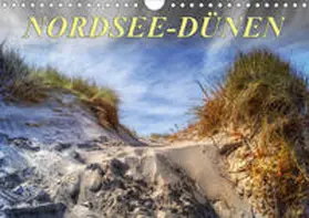 Roder |  Nordsee-Dünen (Wandkalender 2020 DIN A4 quer) | Sonstiges |  Sack Fachmedien