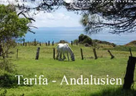 Peitz |  Tarifa - Andalusien (Wandkalender 2020 DIN A3 quer) | Sonstiges |  Sack Fachmedien