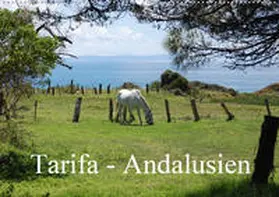 Peitz | Tarifa - Andalusien (Wandkalender 2020 DIN A2 quer) | Sonstiges | 978-3-670-52801-2 | www2.sack.de