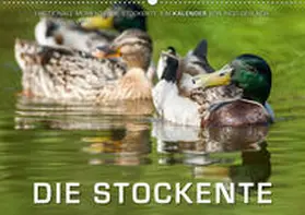 Gerlach |  Emotionale Momente: Die Stockente. (Wandkalender 2020 DIN A2 quer) | Sonstiges |  Sack Fachmedien