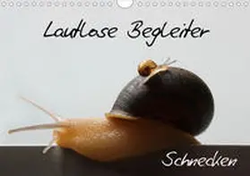 Geiling |  Lautlose Begleiter - Schnecken (Wandkalender 2020 DIN A4 quer) | Sonstiges |  Sack Fachmedien