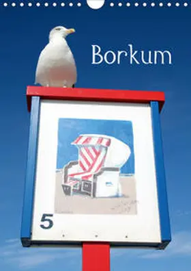Raab |  Borkum (Wandkalender 2020 DIN A4 hoch) | Sonstiges |  Sack Fachmedien