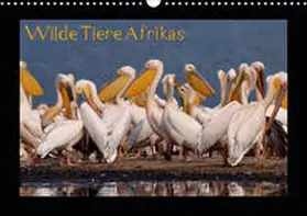 Depner |  Wilde Tiere Afrikas (Wandkalender 2020 DIN A3 quer) | Sonstiges |  Sack Fachmedien