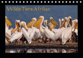 Depner |  Wilde Tiere Afrikas (Tischkalender 2020 DIN A5 quer) | Sonstiges |  Sack Fachmedien