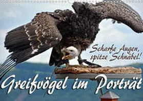 Reiter |  Scharfe Augen, spitze Schnäbel! Greifvögel im Porträt (Wandkalender 2020 DIN A3 quer) | Sonstiges |  Sack Fachmedien