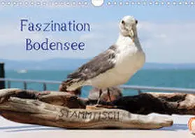 Raab |  Faszination Bodensee (Wandkalender 2020 DIN A4 quer) | Sonstiges |  Sack Fachmedien