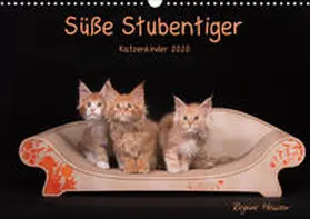 Heuser |  Süße Stubentiger - Katzenkinder (Wandkalender 2020 DIN A3 quer) | Sonstiges |  Sack Fachmedien