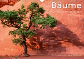 Kiedrowski |  Bäume - Wegbegleiter der Natur (Wandkalender 2020 DIN A3 quer) | Sonstiges |  Sack Fachmedien