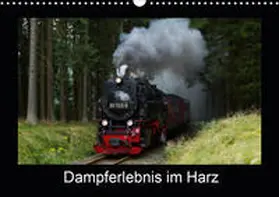 Maurer |  Dampferlebnis im Harz (Wandkalender 2020 DIN A3 quer) | Sonstiges |  Sack Fachmedien