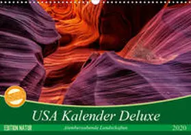 Leitz |  USA Kalender Deluxe (Wandkalender 2020 DIN A3 quer) | Sonstiges |  Sack Fachmedien