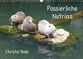 Bode |  Possierliche Nutrias (Wandkalender 2020 DIN A3 quer) | Sonstiges |  Sack Fachmedien