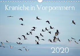 Reinhold |  Kraniche in Vorpommern (Wandkalender 2020 DIN A4 quer) | Sonstiges |  Sack Fachmedien