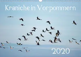 Reinhold |  Kraniche in Vorpommern (Wandkalender 2020 DIN A3 quer) | Sonstiges |  Sack Fachmedien