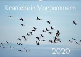 Reinhold |  Kraniche in Vorpommern (Wandkalender 2020 DIN A2 quer) | Sonstiges |  Sack Fachmedien