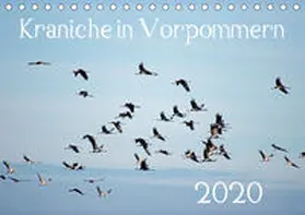 Reinhold |  Kraniche in Vorpommern (Tischkalender 2020 DIN A5 quer) | Sonstiges |  Sack Fachmedien