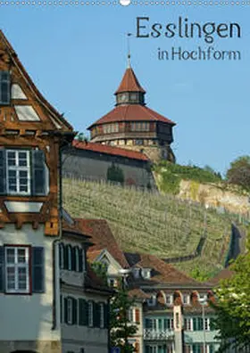 Weber |  Esslingen in Hochform (Wandkalender 2020 DIN A2 hoch) | Sonstiges |  Sack Fachmedien