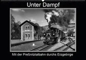 Maurer |  Unter Dampf - Mit der Preßnitztalbahn durchs Erzgebirge (Wandkalender 2020 DIN A2 quer) | Sonstiges |  Sack Fachmedien