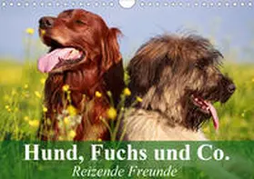 Stanzer |  Hund, Fuchs und Co. Reizende Freunde (Wandkalender 2020 DIN A4 quer) | Sonstiges |  Sack Fachmedien