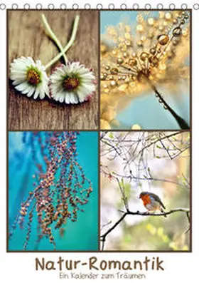 Delgado |  Natur-Romantik (Tischkalender 2020 DIN A5 hoch) | Sonstiges |  Sack Fachmedien