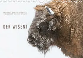 Gerlach |  Emotionale Momente: Der Wisent. (Wandkalender 2020 DIN A4 quer) | Sonstiges |  Sack Fachmedien