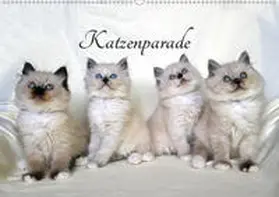 Chrystal |  Katzenparade (Wandkalender 2020 DIN A2 quer) | Sonstiges |  Sack Fachmedien